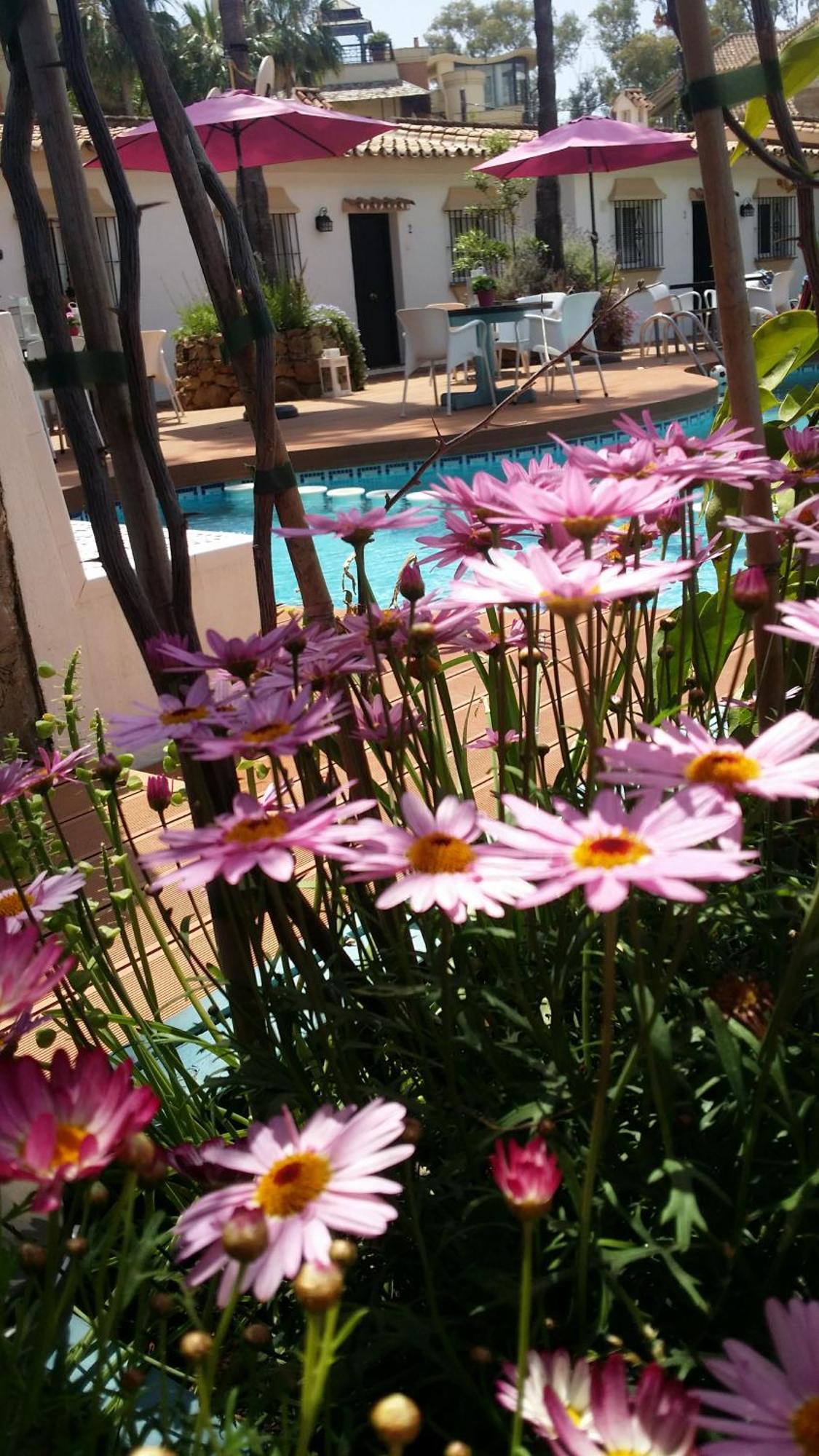 Banus Lodge Marbella Eksteriør billede
