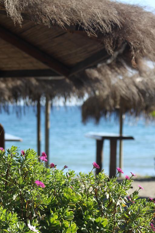 Banus Lodge Marbella Eksteriør billede