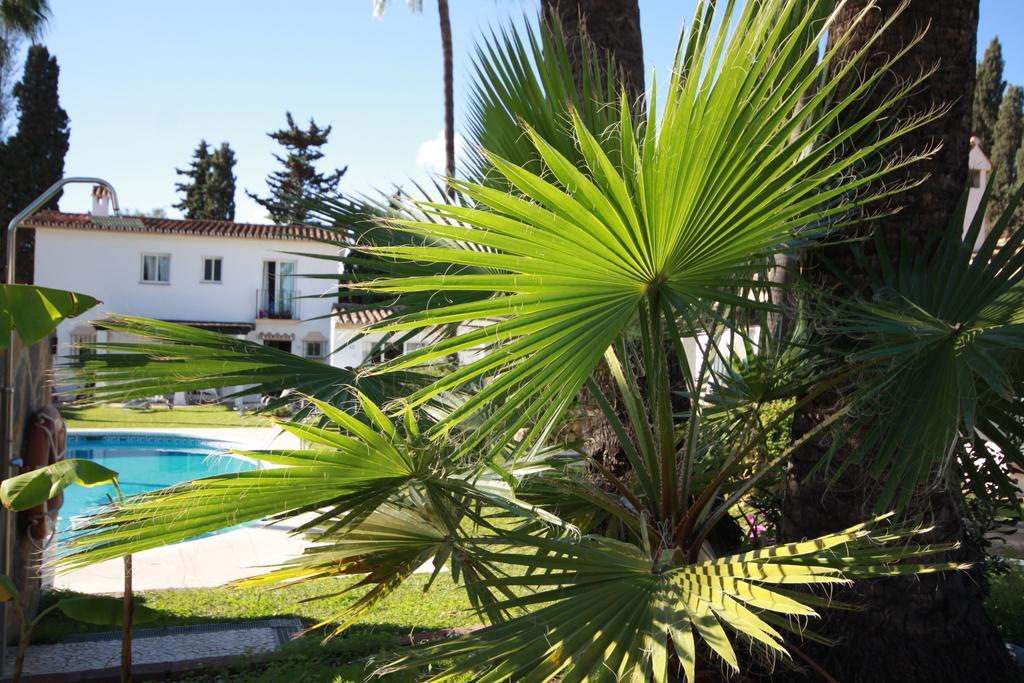 Banus Lodge Marbella Eksteriør billede
