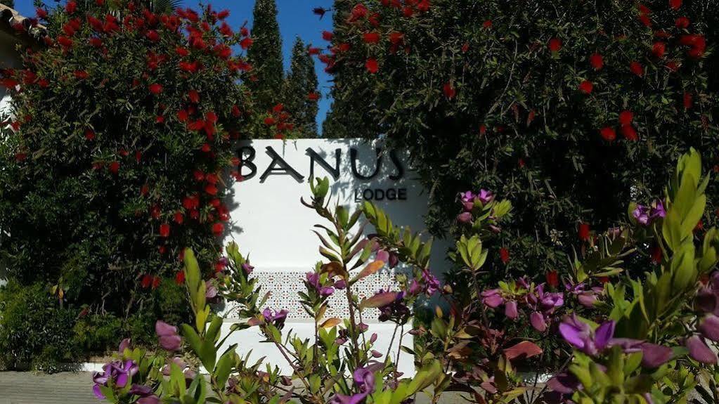 Banus Lodge Marbella Eksteriør billede